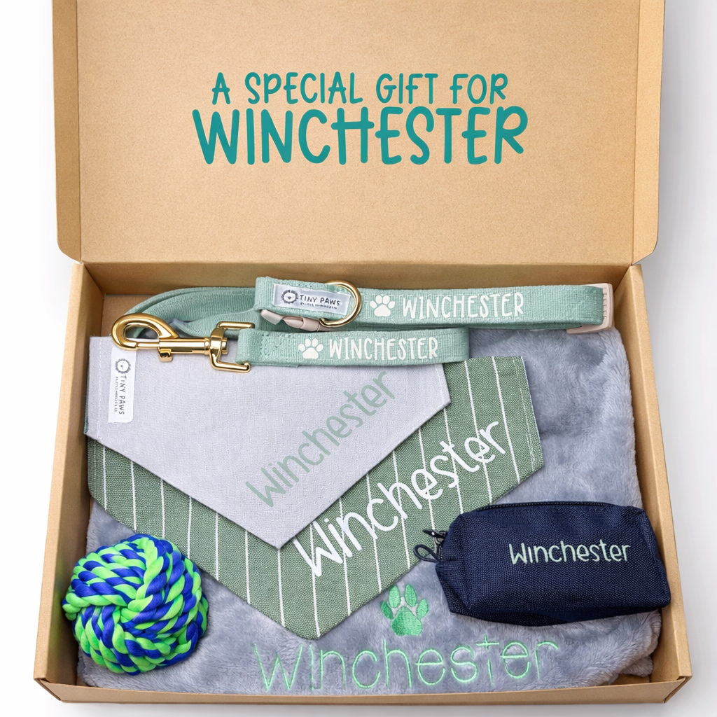 Welcome Home Dog Personalized Gift Box