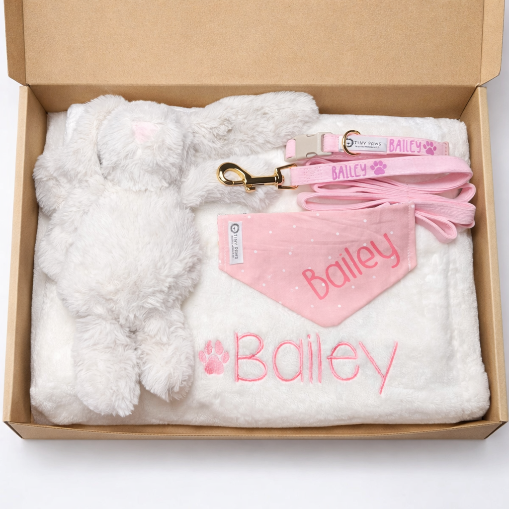 Pretty in Pink Puppy Welcome Home Gift Box