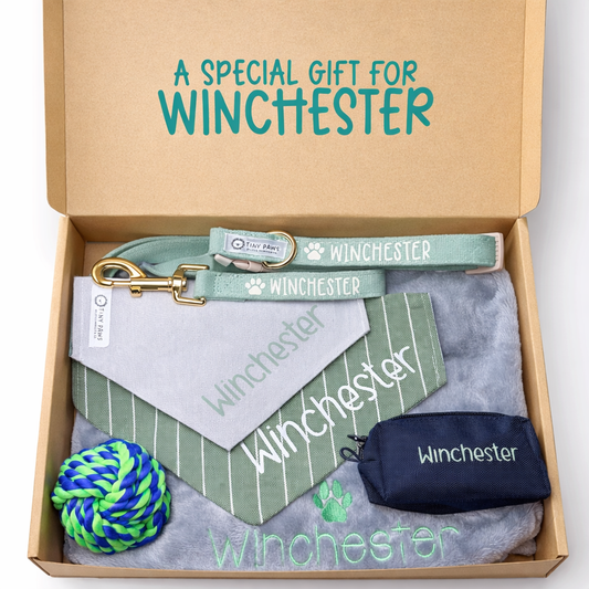 Welcome Home Dog Personalized Gift Box