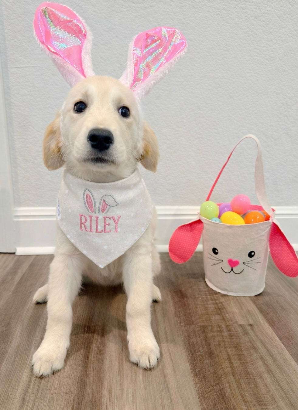 Easter Dog Bandanas 🐰