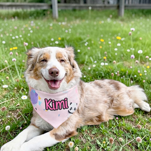 Personalized Double Sided Dog Bandanas