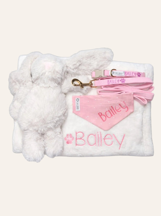 Pretty in Pink Puppy Welcome Home Gift Box