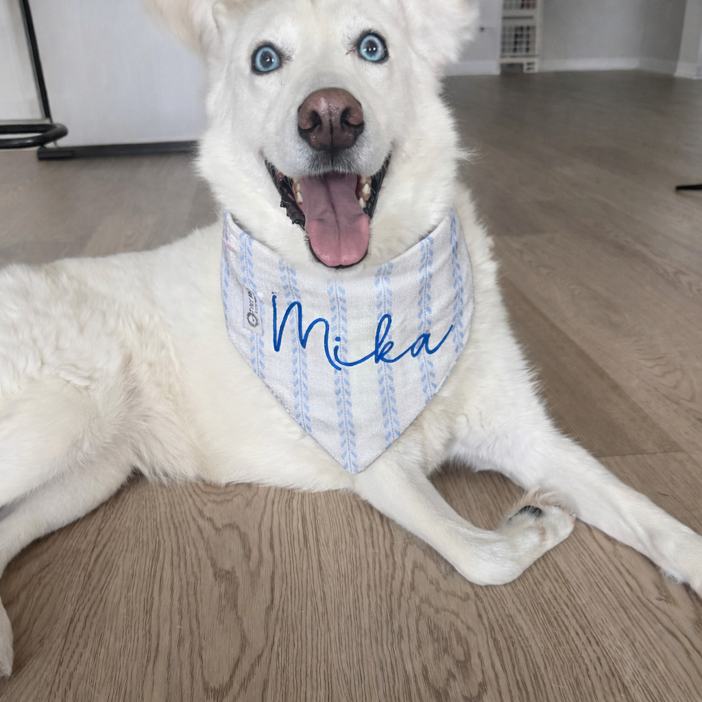 Classy Blue Dog Bandana