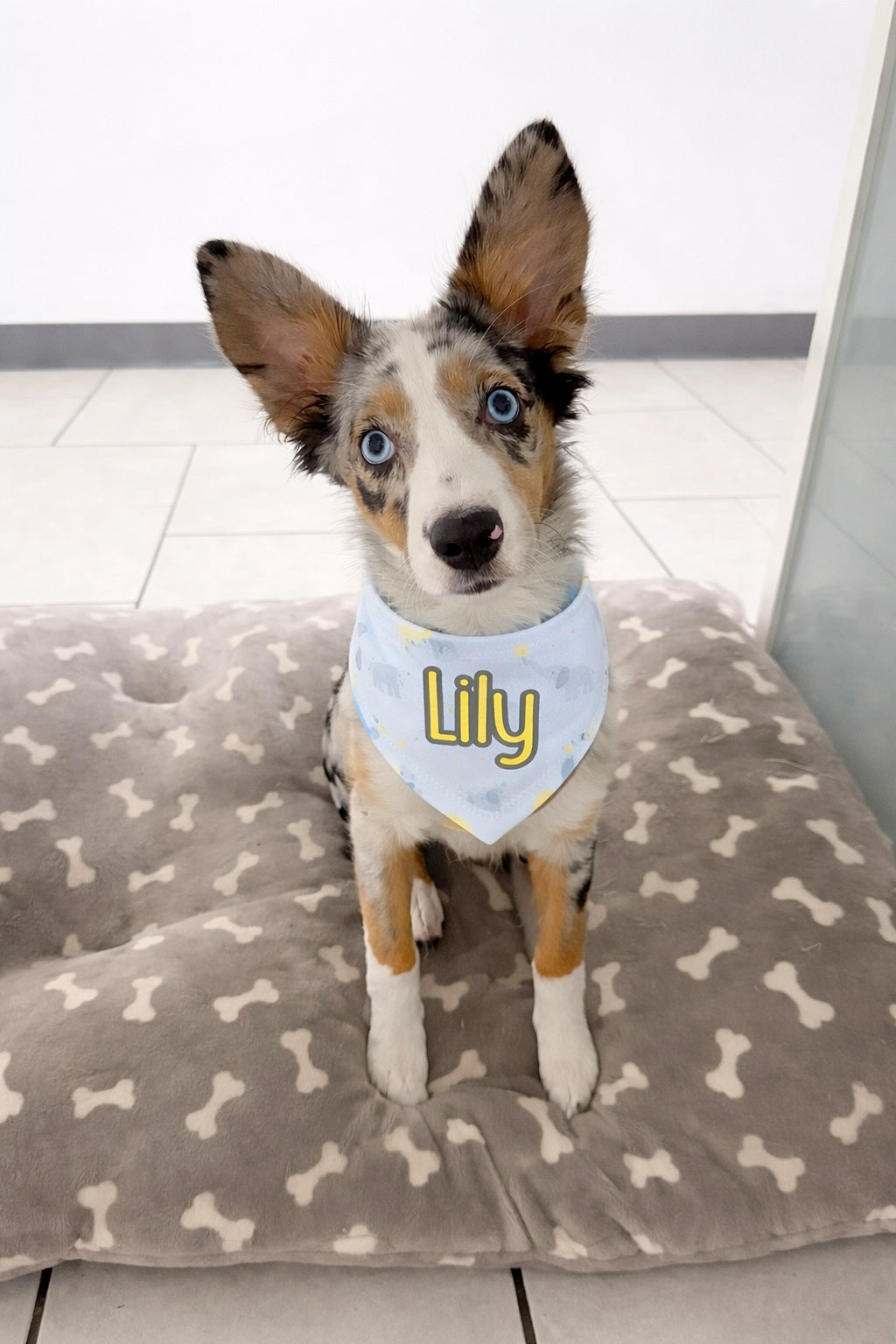 Yellow Elephant Dog Bandana
